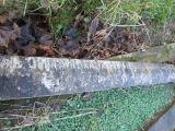 image of grave number 364258